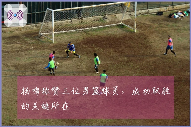 杨鸣称赞三位男篮球员，成功取胜的关键所在