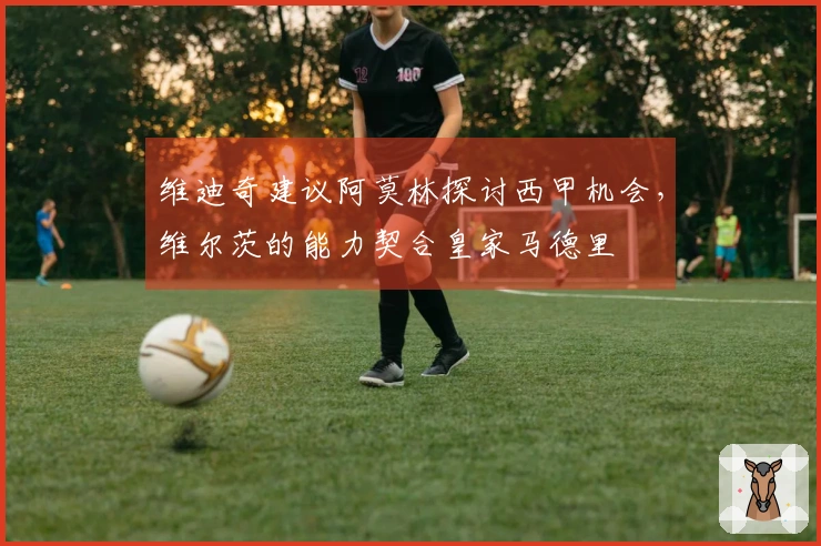 维迪奇建议阿莫林探讨西甲机会，维尔茨的能力契合皇家马德里