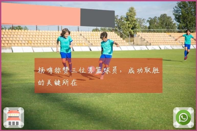 杨鸣称赞三位男篮球员，成功取胜的关键所在